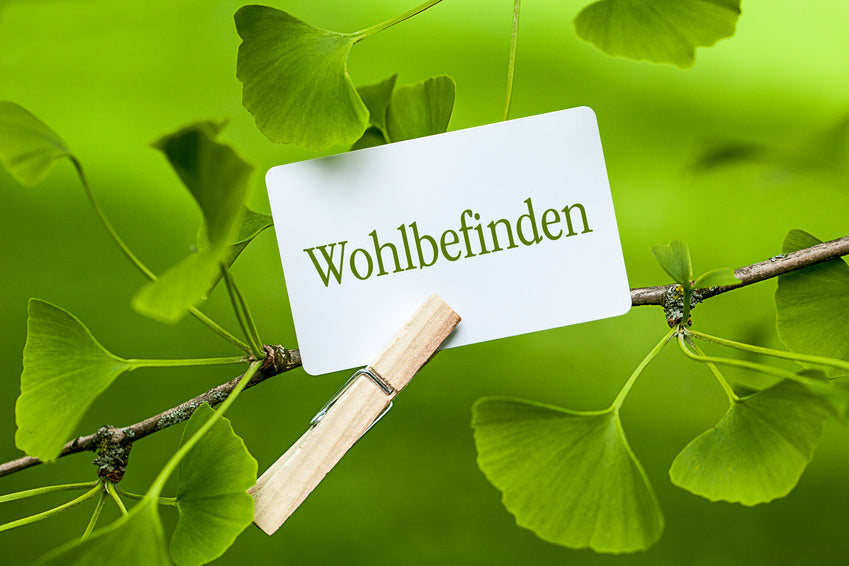 ACC - Ayurvedic-Colon-Cleaning - Warum eine Darmreinigung?