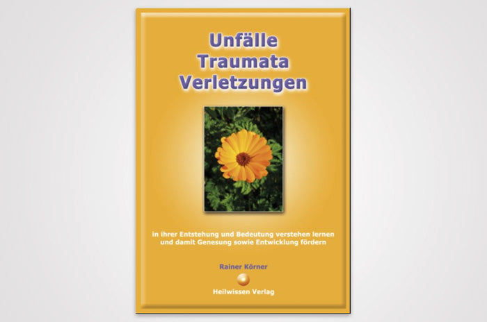 Rainer Körner: Unfälle - Traumata - Verletzungen – in ihrer Entstehung und Bedeutung verstehen lernen und damit Genesung sowie Entwicklung fördern
