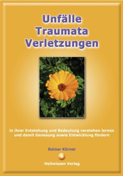Rainer Körner: Unfälle - Traumata - Verletzungen – in ihrer Entstehung und Bedeutung verstehen lernen und damit Genesung sowie Entwicklung fördern